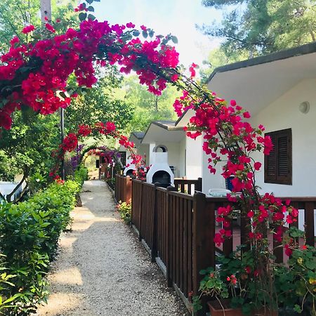 Camping Villaggio Internazionale San Menaio Eksteriør billede