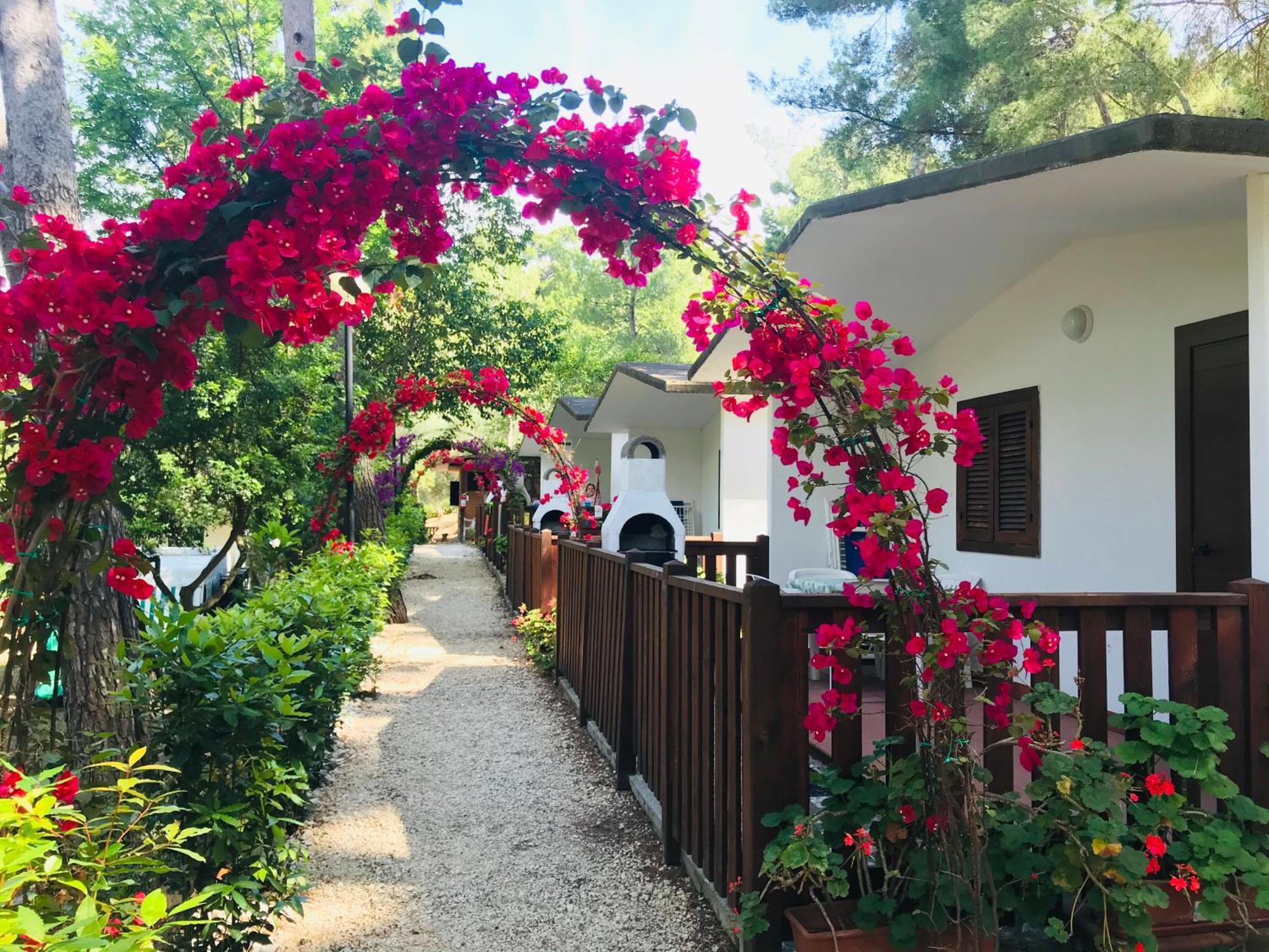 Camping Villaggio Internazionale San Menaio Eksteriør billede
