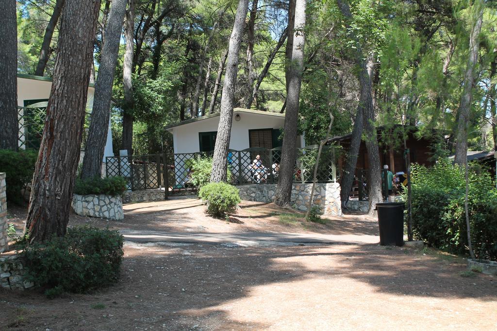 Camping Villaggio Internazionale San Menaio Værelse billede